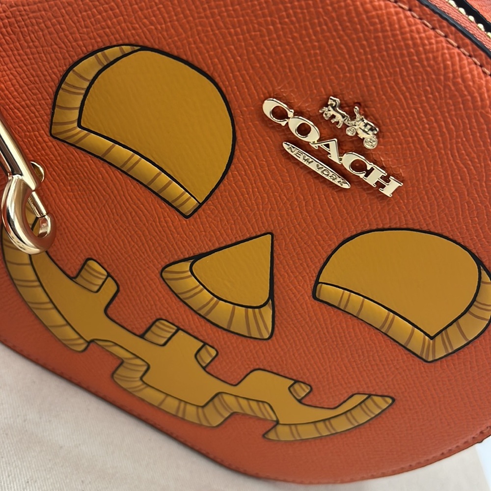 Coach Pumpkin Canteen Crossbody - Picture 5 of 12